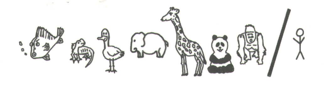 Mary's animal drawings